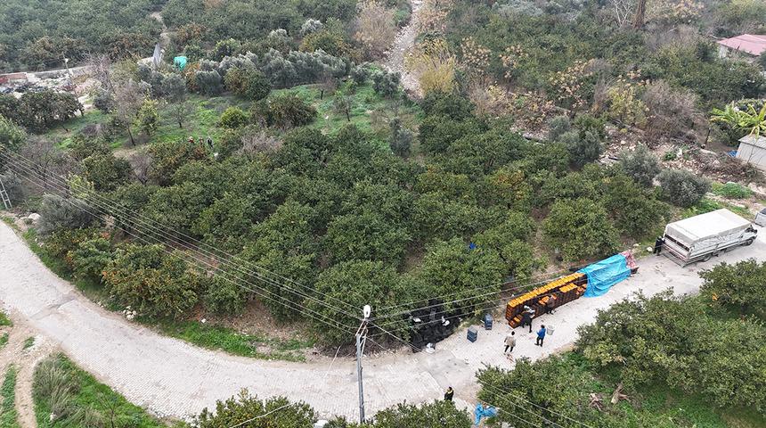 Tarla fiyatı 2 TL'ye geriledi market fiyatı 35 katına &ccedil;ıktı! &Uuml;retici tepki g&ouml;steriyor
