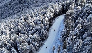 G&uuml;m&uuml;şhane&rsquo;de kış masalı
