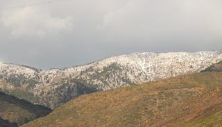 Amanoslar beyaza b&uuml;r&uuml;nd&uuml;