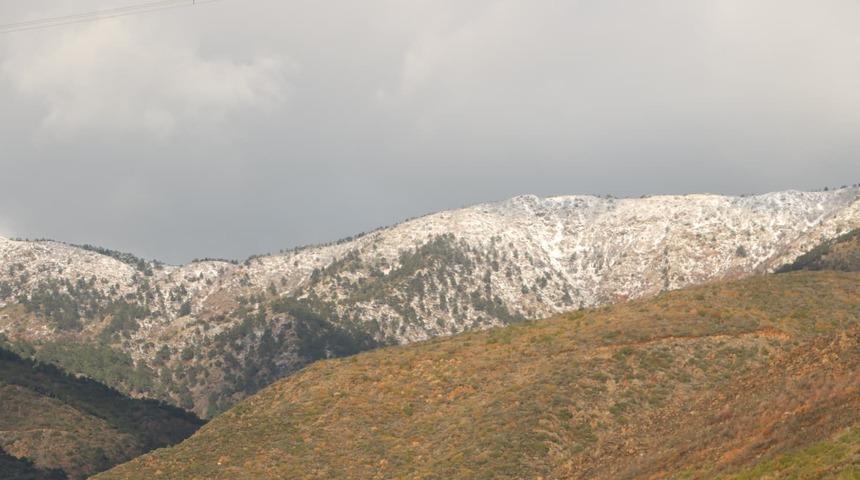 Amanoslar beyaza b&uuml;r&uuml;nd&uuml;