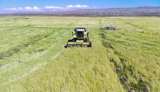 Son 3 g&uuml;n: Başvurular 31 Aralık'ta bitecek! 