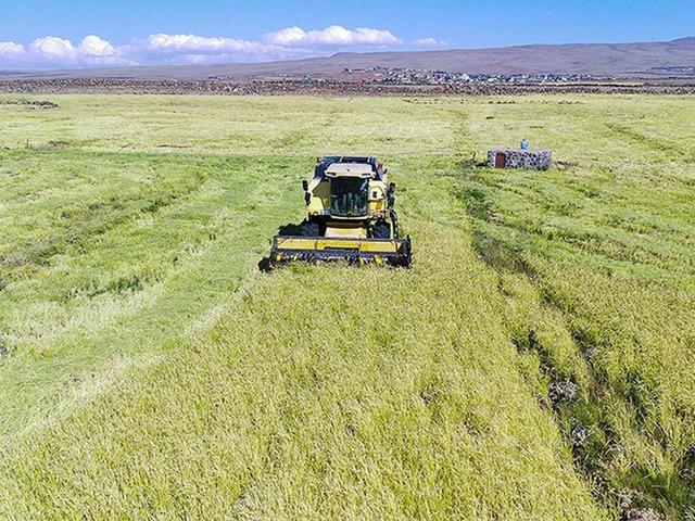 Son 3 g&uuml;n: Başvurular 31 Aralık'ta bitecek! e-Devlet'ten de yapılıyor