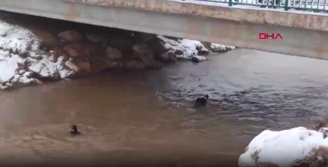 Son dakika | Şanlıurfa da otomobil kanala d&uuml;şt&uuml;! Baba ve &ccedil;ocukları i&ccedil;in zamana karşı yarış 2