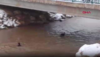 Son dakika | Şanlıurfa'da otomobil kanala d&uuml;şt&uuml;! Baba ve &ccedil;ocukları i&ccedil;in zamana karşı yarış