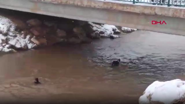 Son dakika | Şanlıurfa'dan yürek yakan haber! 3 çocuğun cansız bedeni bulundu, baba hala aranıyor