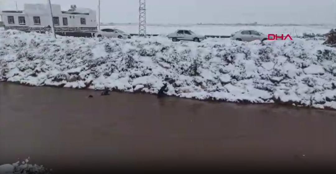 Son dakika | Şanlıurfa da otomobil kanala d&uuml;şt&uuml;! Baba ve &ccedil;ocukları i&ccedil;in zamana karşı yarış 1