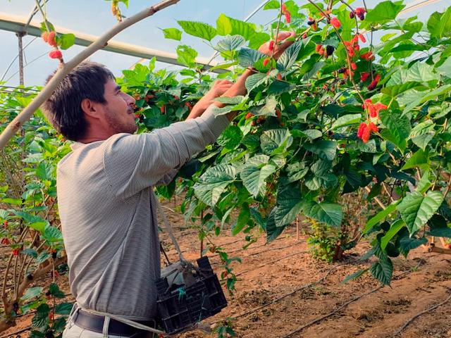 Fiyatıyla y&uuml;zleri g&uuml;ld&uuml;r&uuml;yor! 