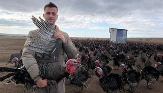 Yılbaşı &ouml;ncesi hindi satışları arttı; dişi hindiye ilgi daha fazla