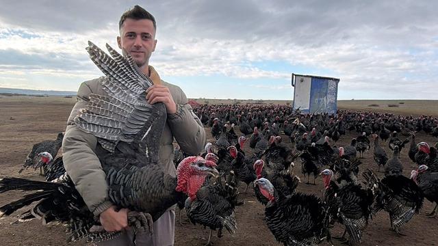 Hindi seçerken bunu göz ardı etmeyin! Kilosu 500 lira: Dişi hindi mi lezzetli erkeği mi?