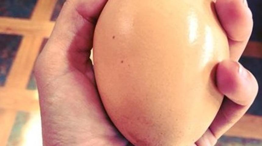 Dev yumurtanın i&ccedil;inden &ccedil;ıktı, g&ouml;ren şaştı kaldı!