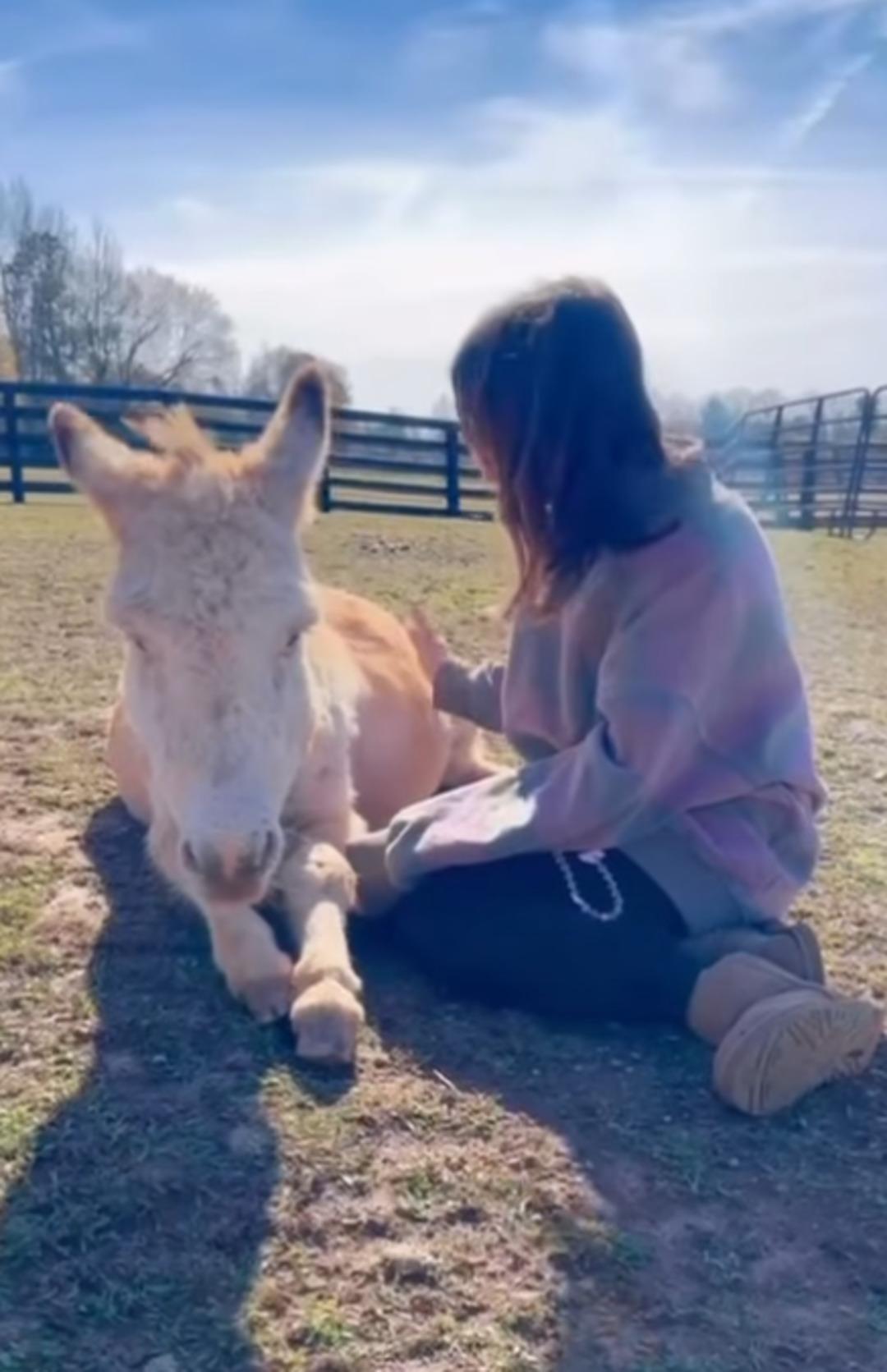 Millie Bobby Brown Hollywood&rsquo;u bırakıp &ccedil;iftlik hayatını se&ccedil;ti 3