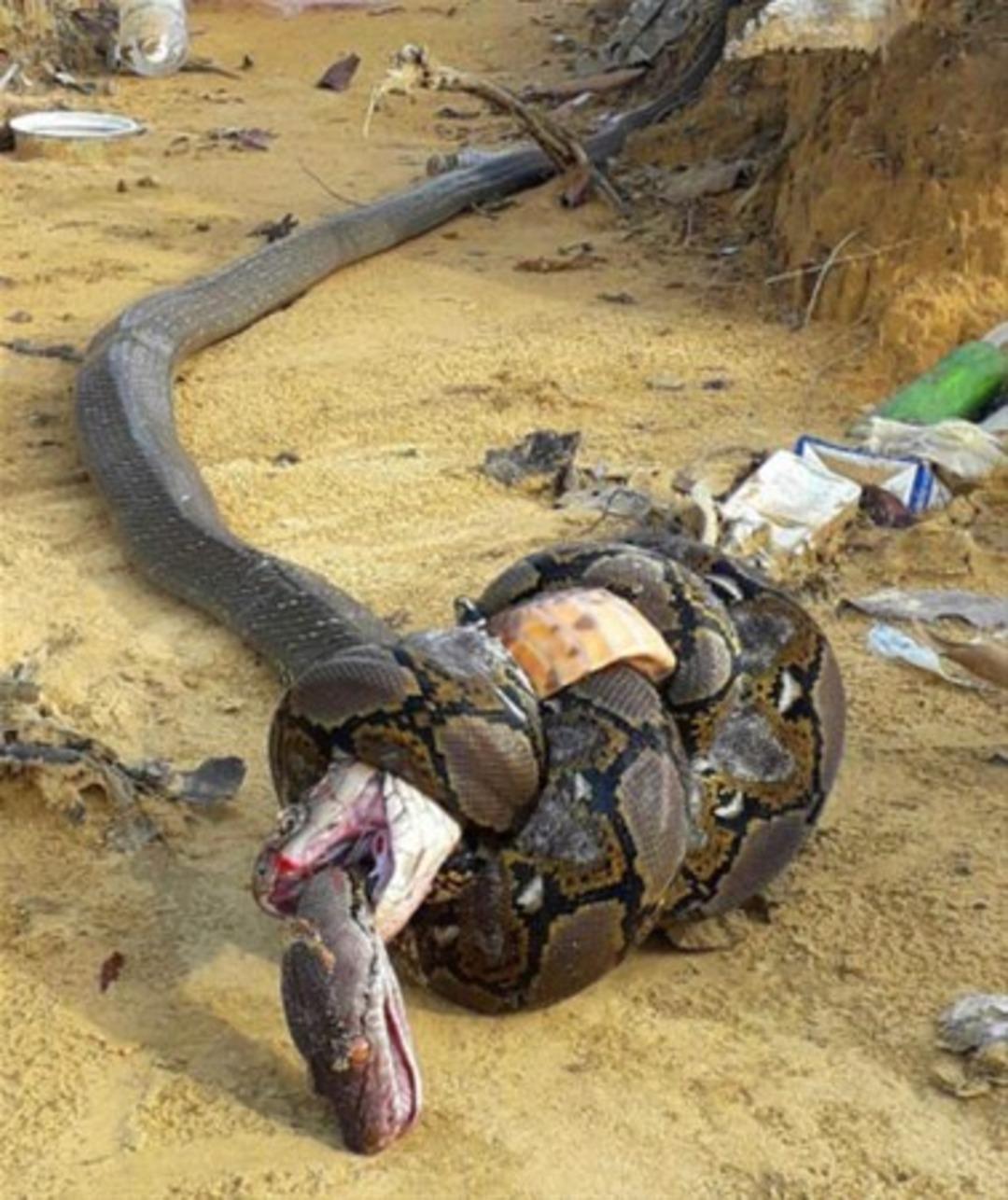 Onları bu halde buldular 