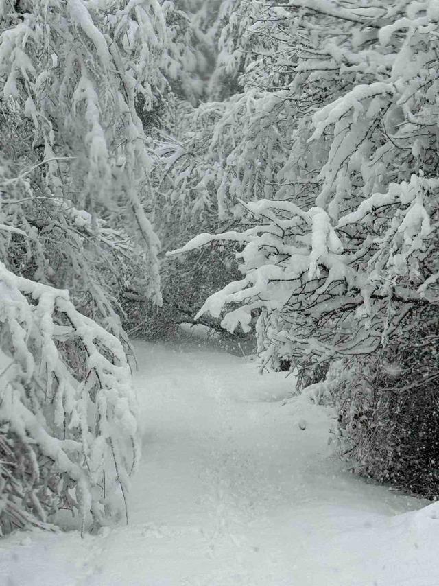 Devrek&rsquo;te 45 k&ouml;y yolu kar nedeniyle ulaşıma kapandı 1