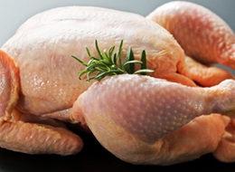 Banvit’ten 'kuş gribi' açıklaması