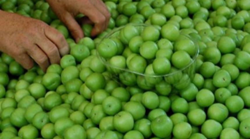 Kilosu üreticide 5 lira pazarda 20 lira!