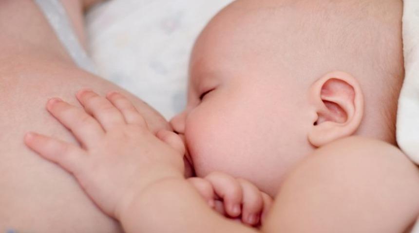 S&uuml;t yapan &ccedil;aylar ve yiyecekler nelerdir?