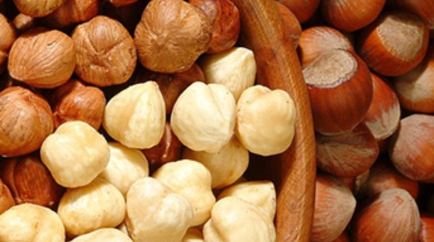 Fındık tarihi rekor kırdı