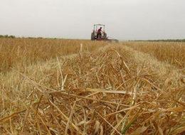 Çiftçiye mazot ve gübre desteği için ek süre