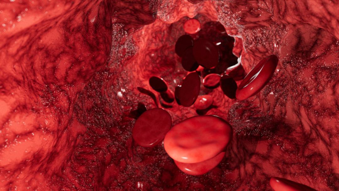 Bilim d&uuml;nyası şaşkın! Kan testinde iki cinsiyet ortaya &ccedil;ıktı 2