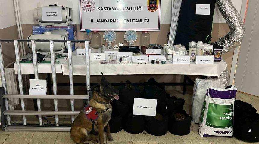 Kastamonu&rsquo;da uyuşturucu operasyonu:  6 g&ouml;zaltı