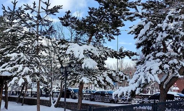 Kar yağışının ardından ağa&ccedil;larda kartpostallık g&ouml;r&uuml;nt&uuml; 3