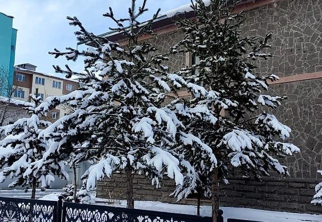 Kar yağışının ardından ağa&ccedil;larda kartpostallık g&ouml;r&uuml;nt&uuml; 2