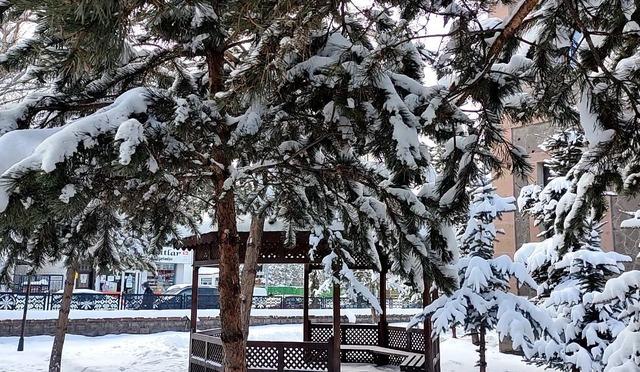 Kar yağışının ardından ağa&ccedil;larda kartpostallık g&ouml;r&uuml;nt&uuml; 1