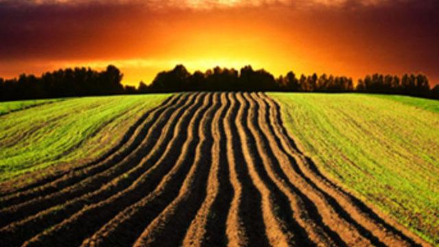 Türkiye Sudan'da tarım arazisi kiraladı