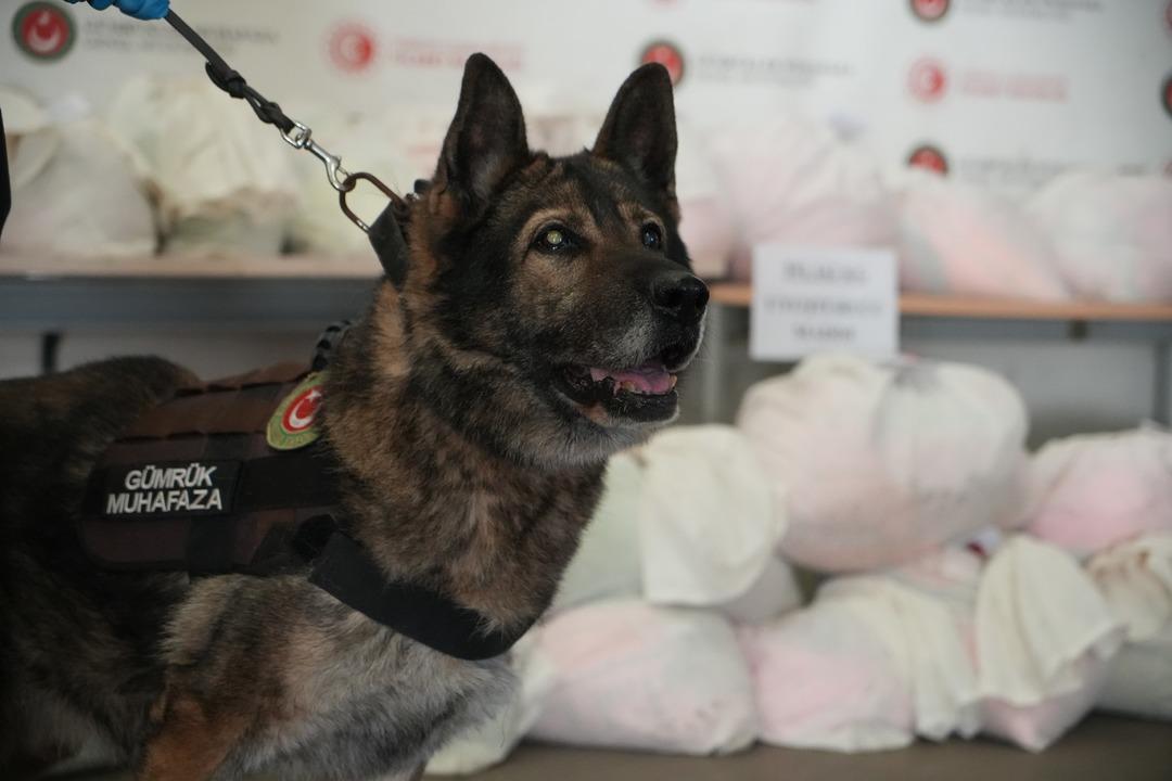 Yakalanmasa T&uuml;rkiye ye girecekti! Bir tırda 600 kilogram uyuşturucu yakalandı 5