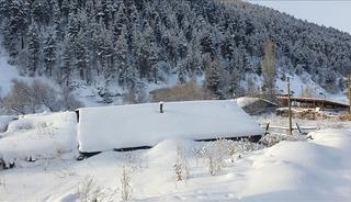 6 il ve 192 yerleşim yeri ulaşıma kapandı: Erzurum'da kar m&uuml;cadelesi s&uuml;r&uuml;yor