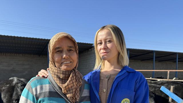 Gündüz sigortacı, mesaiden sonra o işi yapıyor 'Bu fırsatı değerlendirin'