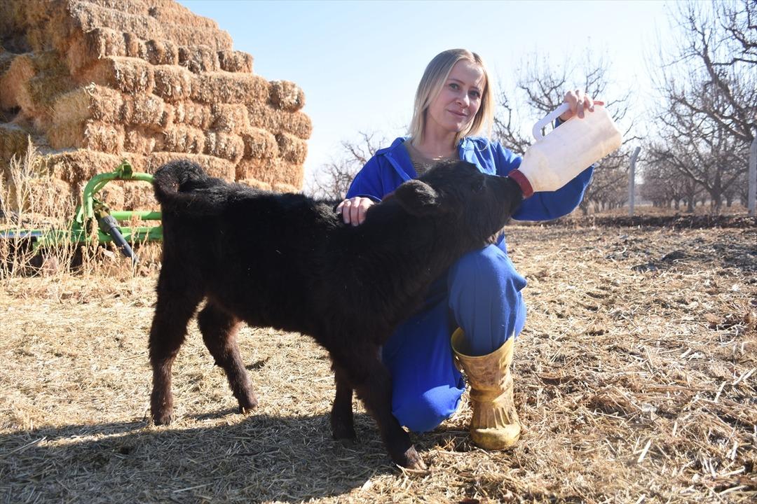 G&uuml;nd&uuml;z sigortacı, mesaiden sonra bu işi yapıyor  Fırsatı değerlendirin  2