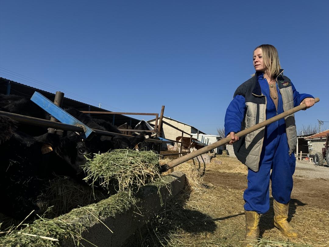 G&uuml;nd&uuml;z sigortacı, mesaiden sonra bu işi yapıyor  Fırsatı değerlendirin  3