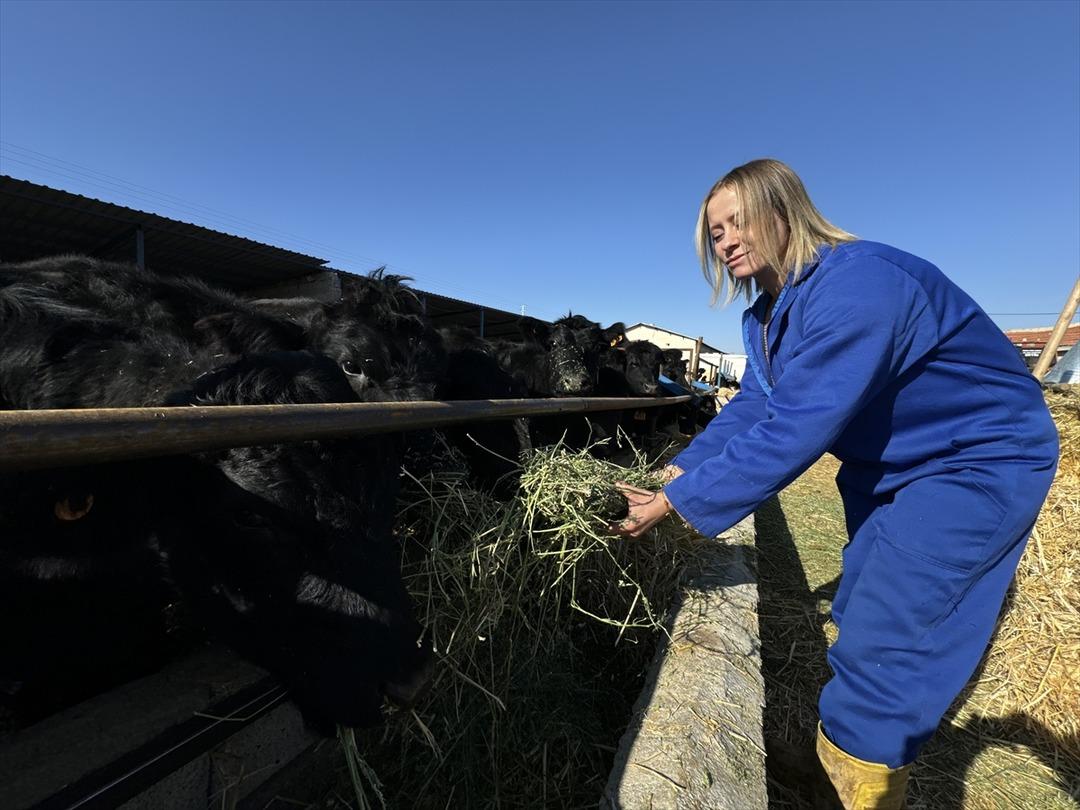 G&uuml;nd&uuml;z sigortacı, mesaiden sonra bu işi yapıyor  Fırsatı değerlendirin  4