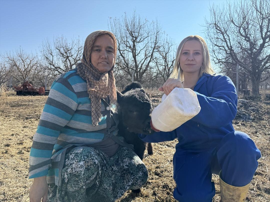 G&uuml;nd&uuml;z sigortacı, mesaiden sonra bu işi yapıyor  Fırsatı değerlendirin  5
