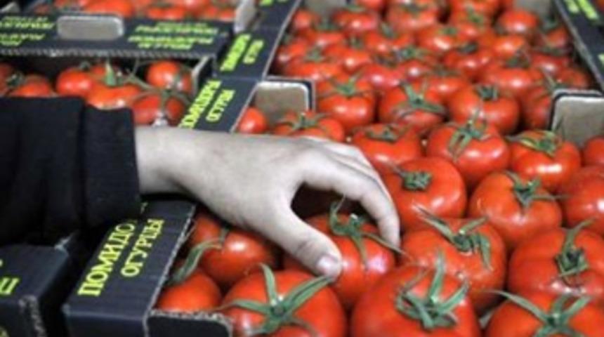 Rusya yasağı kaldırdı, domatesin fiyatı arttı!