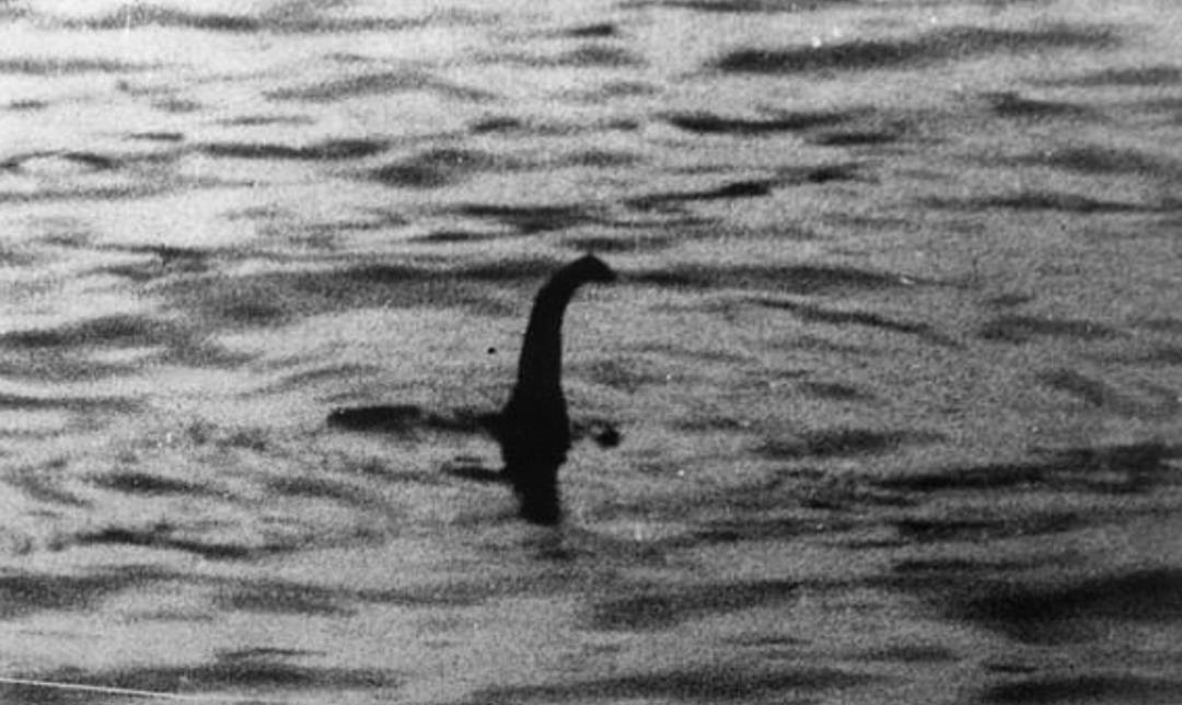 Nessie yine mi ortaya &ccedil;ıktı?  Canavar  2025 te 5 kez g&ouml;r&uuml;ld&uuml; 1