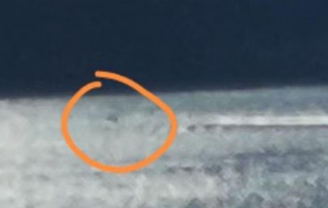 Nessie yine mi ortaya &ccedil;ıktı?  Canavar  2025 te 5 kez g&ouml;r&uuml;ld&uuml; 2