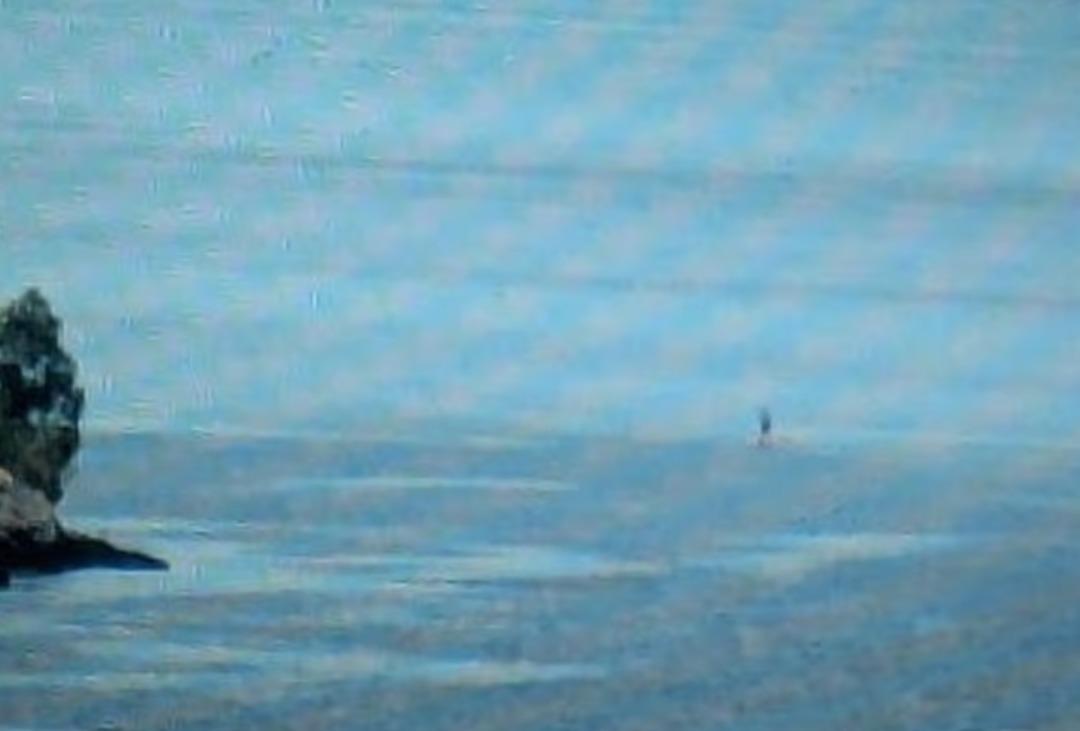 Nessie yine mi ortaya &ccedil;ıktı?  Canavar  2025 te 5 kez g&ouml;r&uuml;ld&uuml; 3