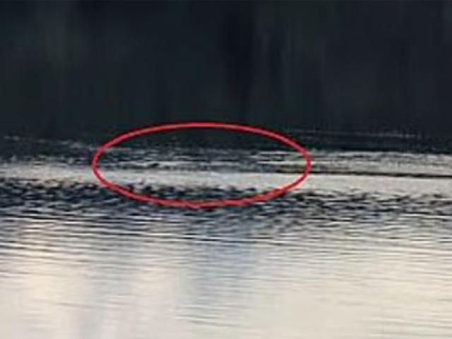 Ness canavarı ortaya &ccedil;ıktı: Tam 5 kez g&ouml;r&uuml;ld&uuml;