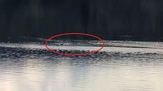 Nessie yine mi ortaya çıktı? 'Canavar' 2025'te 5 kez görüldü