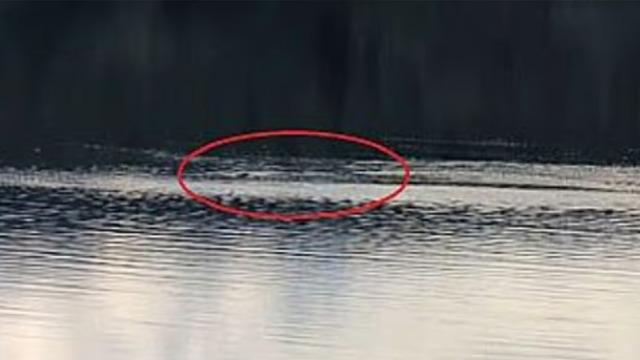 Nessie yine mi ortaya çıktı? 'Canavar' 2025'te 5 kez görüldü