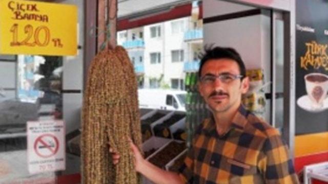 Fiyatı altınla yarışıyor!