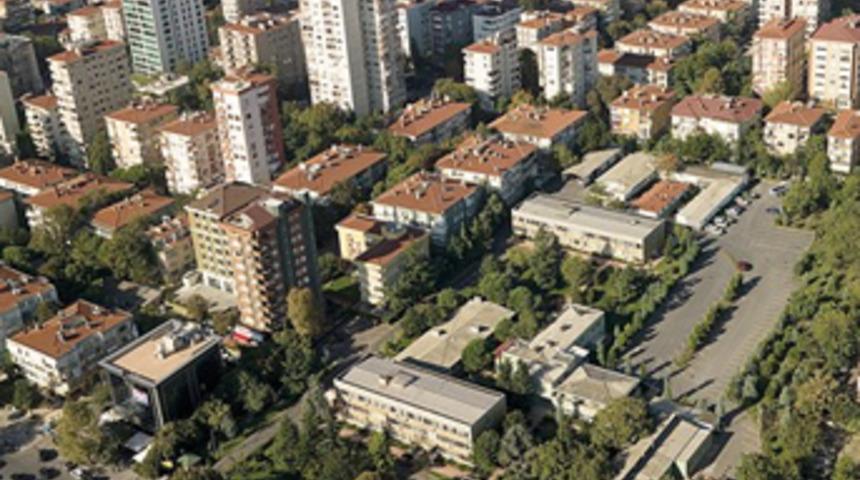 Caddenin tek yeşili gidiyor