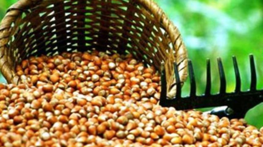 Doğal afetlerin tarıma faturası ağır olacak