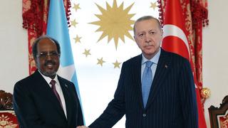 Cumhurbaşkanı Erdoğan, Somali Cumhurbaşkanı Mahmud'u kabul etti