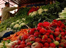 Fiyatlar yüzde 50 ucuzladı