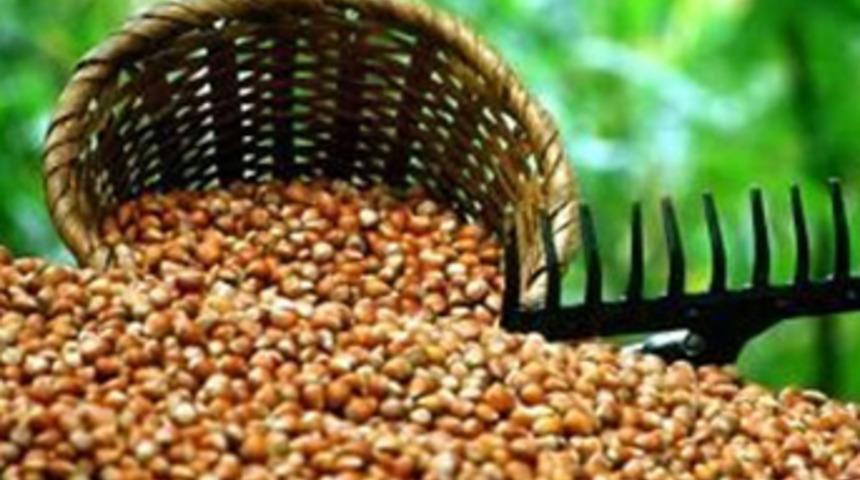 Türk fındık devi İtalyanlar'a satıldı