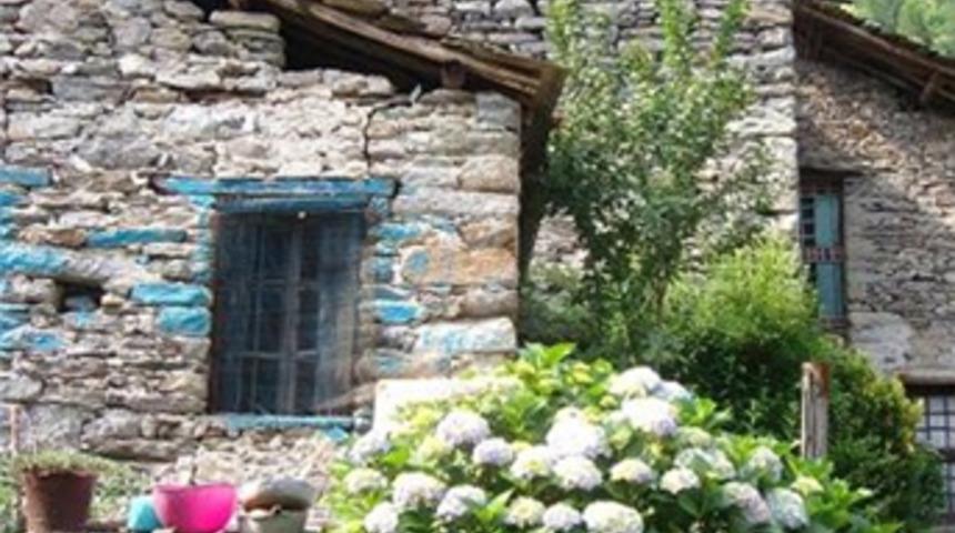 İnternetten satılık k&ouml;y