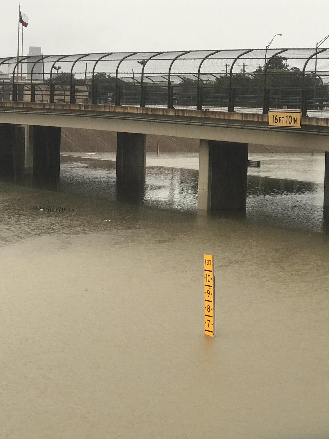 Lanetli gibi: O bataklıktan bir senede tam 34 ceset &ccedil;ıkartıldı! Seri katil ş&uuml;phesi var 1